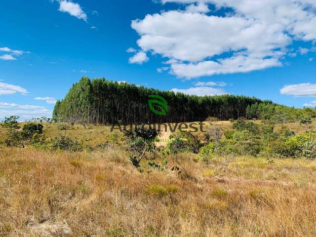 #1006 - Fazenda para Venda em Niquelândia - GO - 2