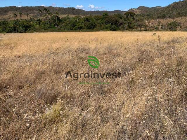 #1006 - Fazenda para Venda em Niquelândia - GO - 3