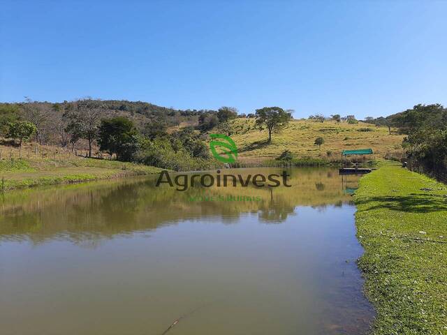 #1009 - Fazenda para Venda em São Miguel do Passa Quatro - GO - 2