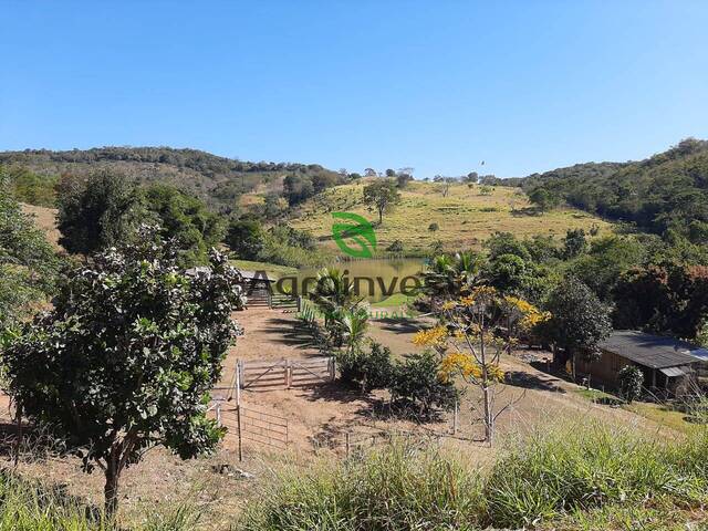 Fazenda para Venda em São Miguel do Passa Quatro - 4