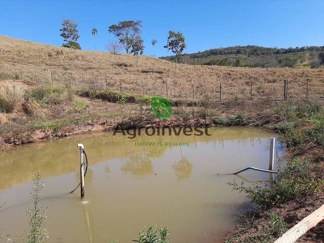 Fazenda para Venda em São Miguel do Passa Quatro - 5