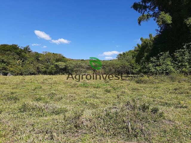 #1009 - Fazenda para Venda em São Miguel do Passa Quatro - GO - 3