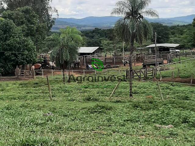 #1013 - Fazenda para Venda em Uruana - GO