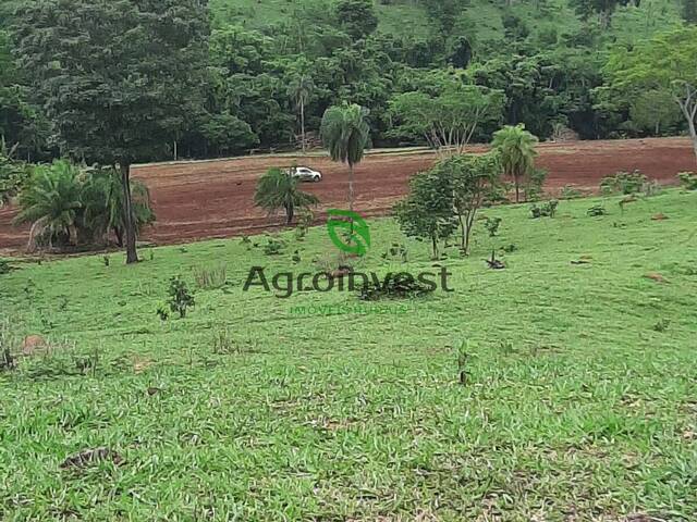 Fazenda para Venda em Uruana - 4