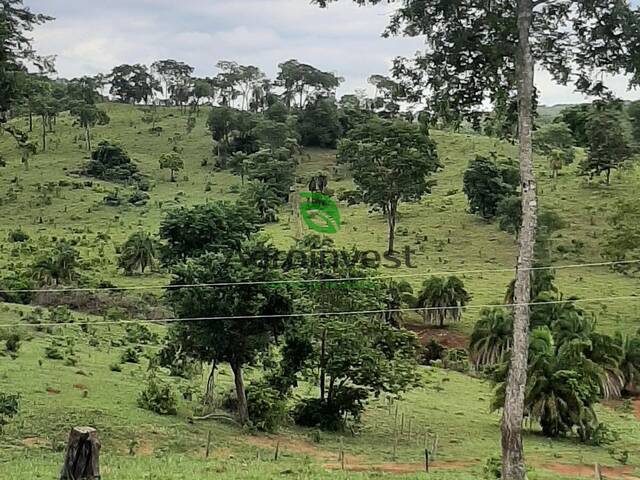 #1013 - Fazenda para Venda em Uruana - GO