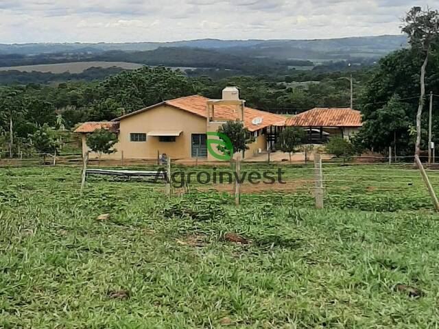 Fazenda para Venda em Uruana - 5