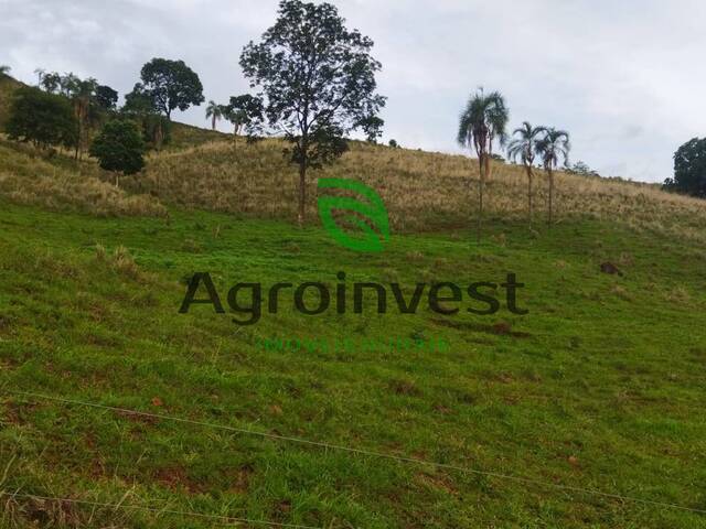 Fazenda para Venda em Niquelândia - 4