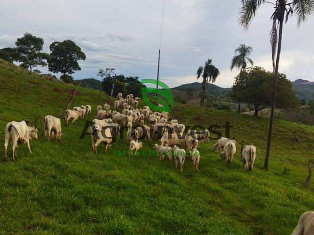 Fazenda para Venda em Niquelândia - 5