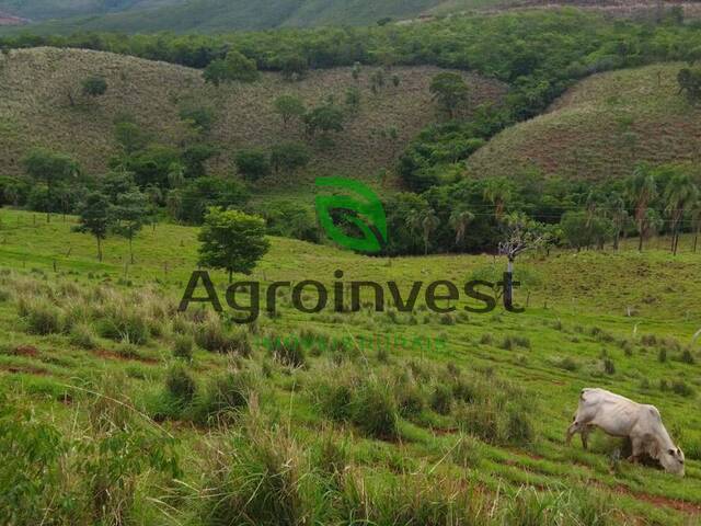 #1014 - Fazenda para Venda em Niquelândia - GO - 3