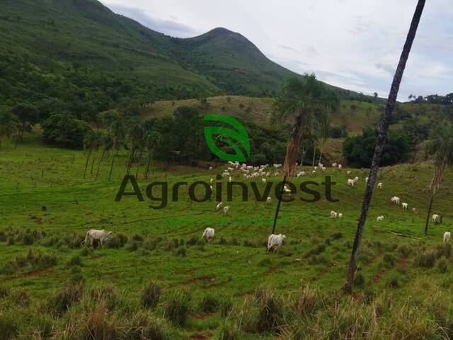 #1014 - Fazenda para Venda em Niquelândia - GO - 2