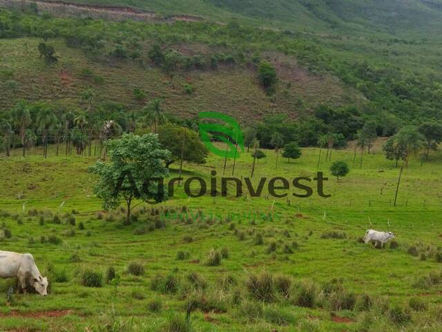 #1014 - Fazenda para Venda em Niquelândia - GO - 1