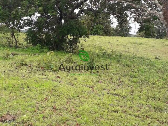 #1026 - Fazenda para Venda em Padre Bernardo - GO - 3