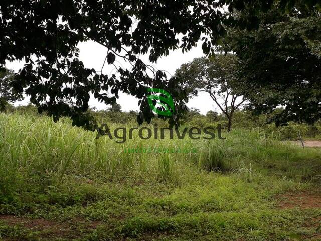 Fazenda para Venda em Padre Bernardo - 5