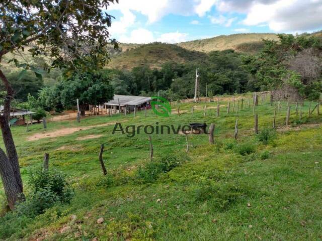 Terrenos, sítios e fazendas - Colniza, MT