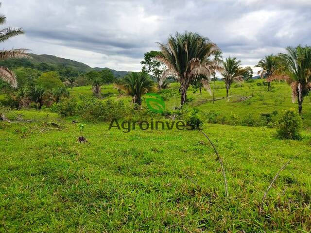 #1049 - Fazenda para Venda em Niquelândia - GO - 1