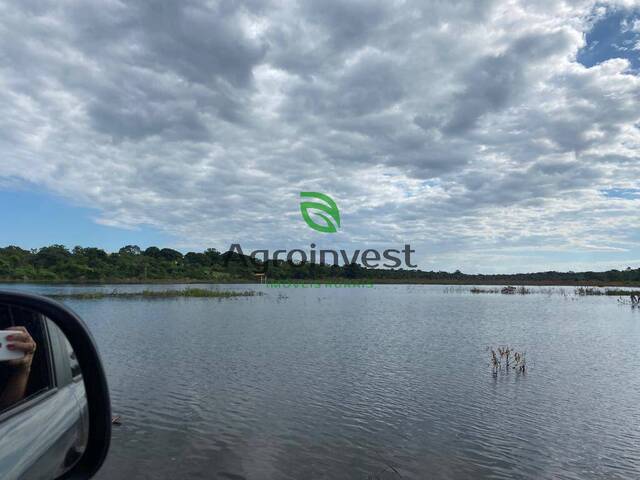 Fazenda para Venda em Arinos - 4