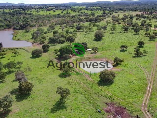 Venda em Zona Rural - Porangatu