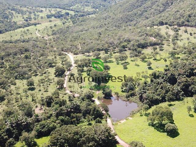 Venda em Zona Rural - Pirenópolis