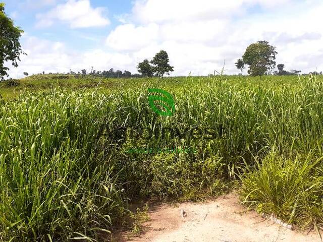 Chácara para Venda em Breu Branco - 4