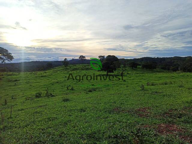 Venda em Zona Rural - Santa Cruz de Goiás