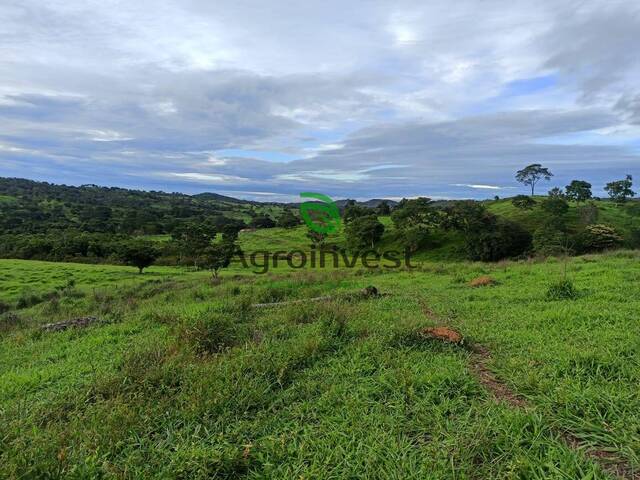 #1069 - Fazenda para Venda em Santa Cruz de Goiás - GO - 2