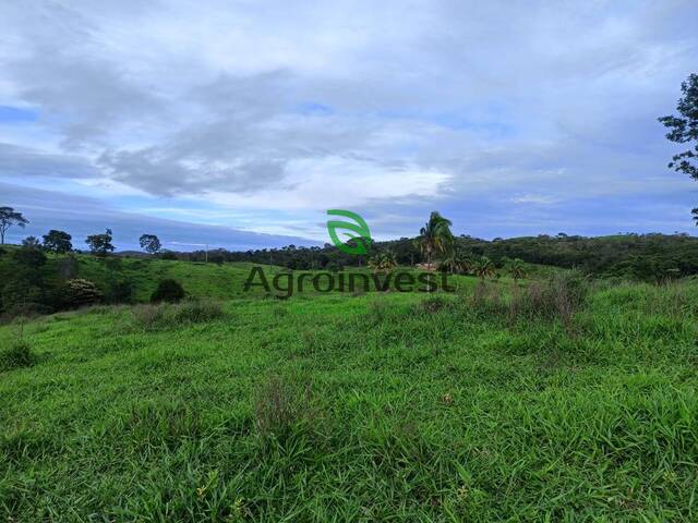 Fazenda para Venda em Santa Cruz de Goiás - 4