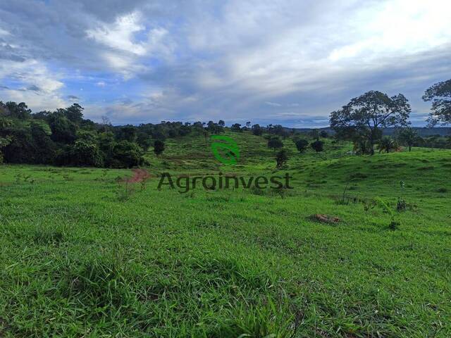 #1069 - Fazenda para Venda em Santa Cruz de Goiás - GO - 3