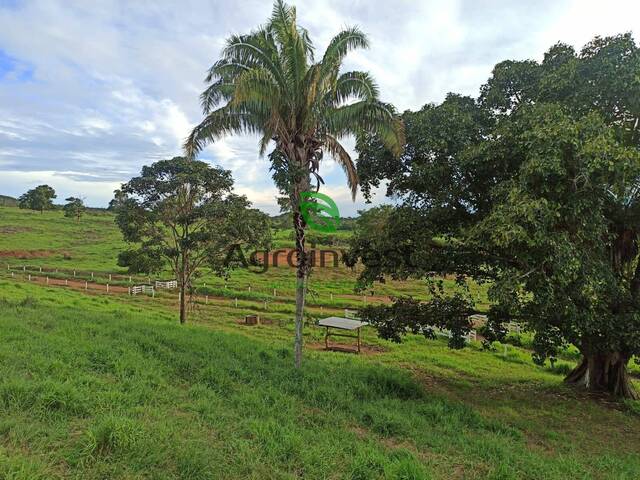 Fazenda para Venda em Santa Cruz de Goiás - 5