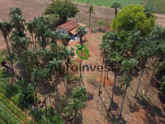 Chácara para Venda em Petrolina de Goiás - 5