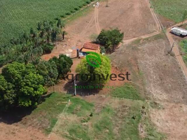 Chácara para Venda em Petrolina de Goiás - 4