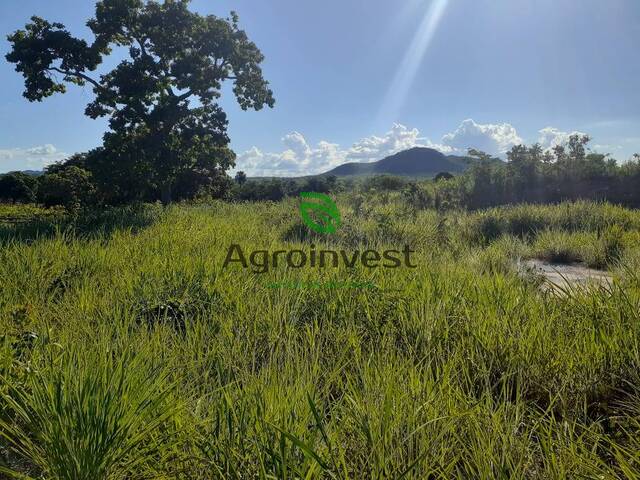 #1096 - Chácara para Venda em Jaú do Tocantins - TO - 1