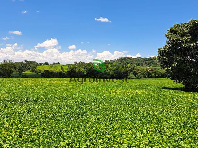 Venda em Zona Rural - Bonfinópolis