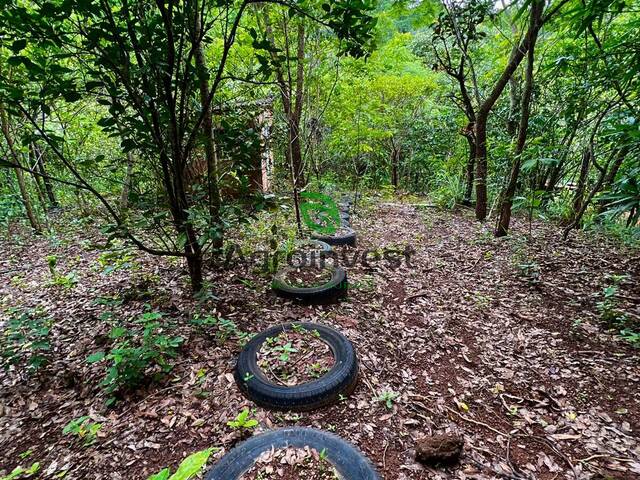 Venda em Zona Rural - Bonfinópolis