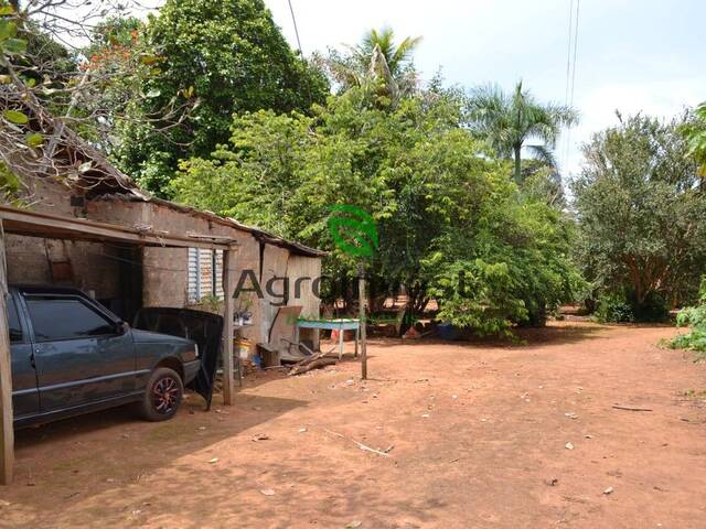 Venda em Zona Rural - Goianira