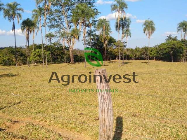 Fazenda para Venda em Água Fria de Goiás - 4