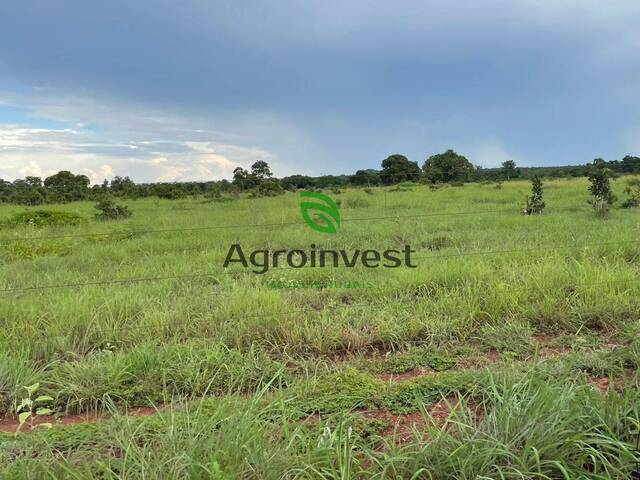 Venda em Zona Rural - Porangatu