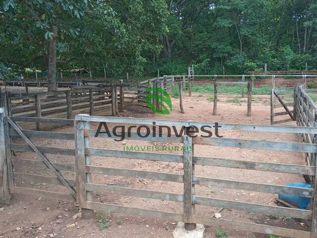 Fazenda para Venda em Niquelândia - 4