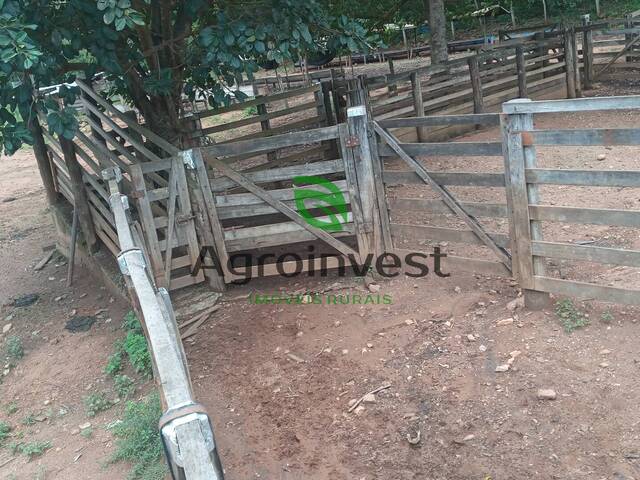 Fazenda para Venda em Niquelândia - 5