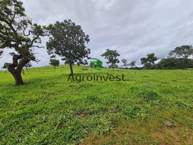 #1147 - Fazenda para Venda em Santa Cruz de Goiás - GO