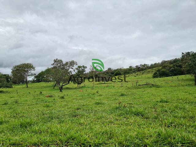 #1147 - Fazenda para Venda em Santa Cruz de Goiás - GO