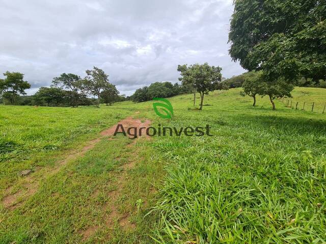 #1147 - Fazenda para Venda em Santa Cruz de Goiás - GO