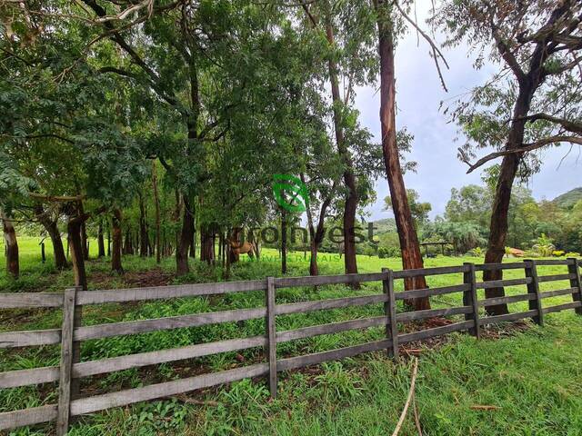 Fazenda para Venda em Santa Cruz de Goiás - 5