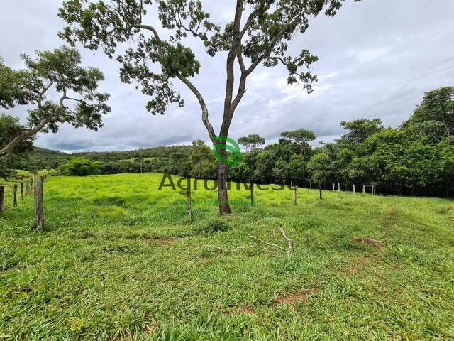 Fazenda para Venda em Santa Cruz de Goiás - 4