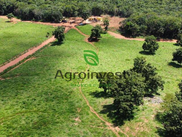 Chácara para Venda em Santa Cruz de Goiás - 5