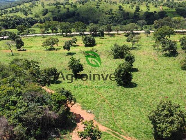 Chácara para Venda em Santa Cruz de Goiás - 4