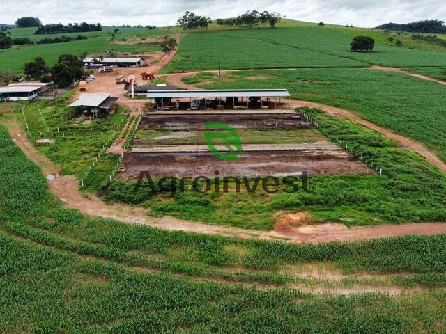 Venda em Zona Rural - Bela Vista de Goiás