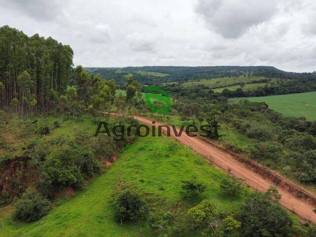 #1149 - Fazenda para Venda em Bela Vista de Goiás - GO - 3