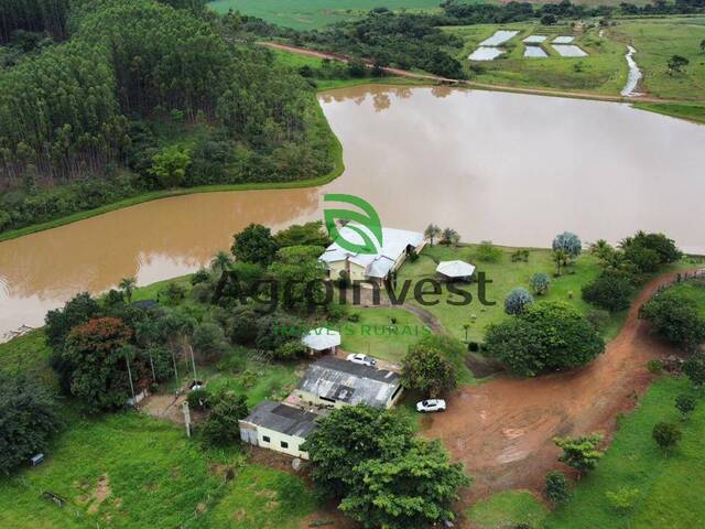 Fazenda para Venda em Bela Vista de Goiás - 5