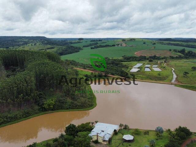 Fazenda para Venda em Bela Vista de Goiás - 4