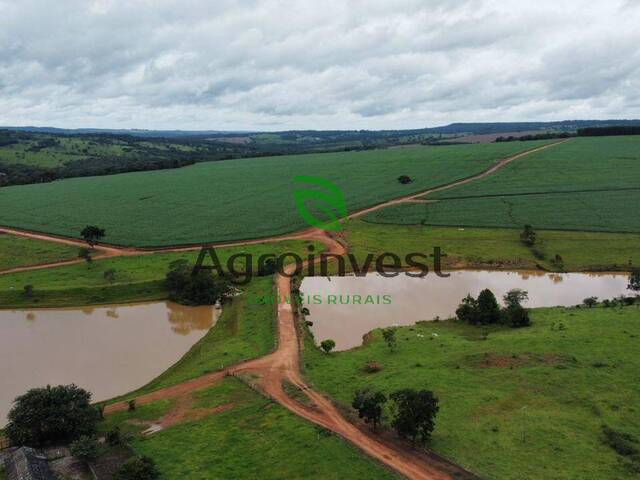 #1149 - Fazenda para Venda em Bela Vista de Goiás - GO - 2